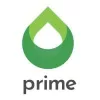 Prime International Oil and Gas Company Limited